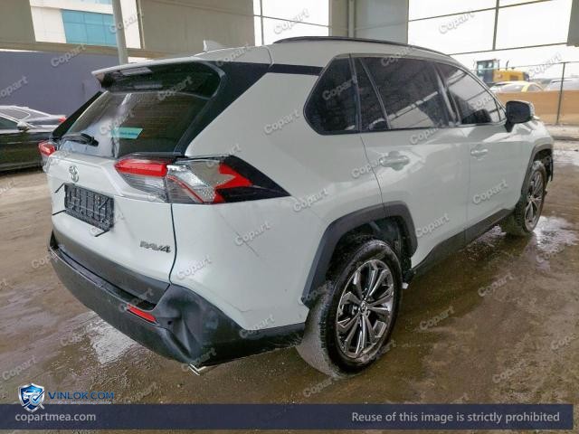 Auction photo