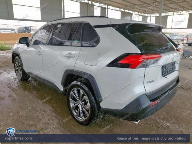 Auction photo