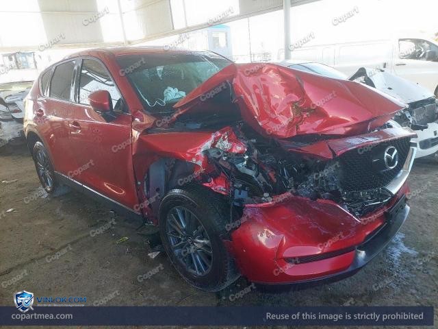 Auction photo