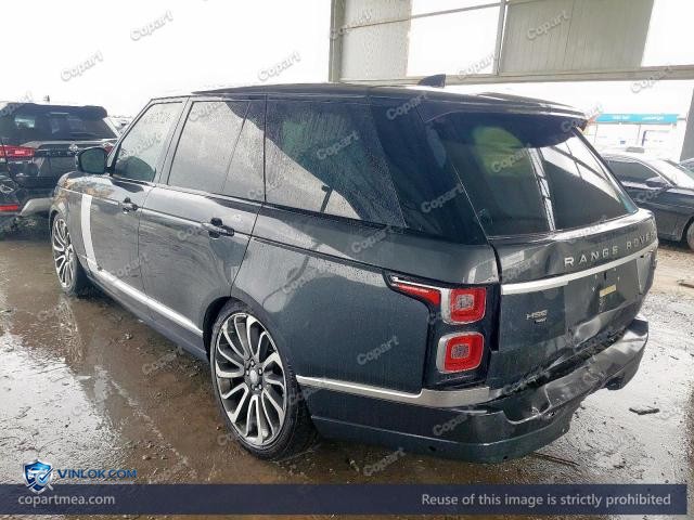 Auction photo