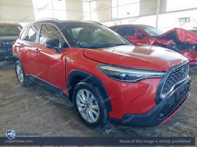 Auction photo