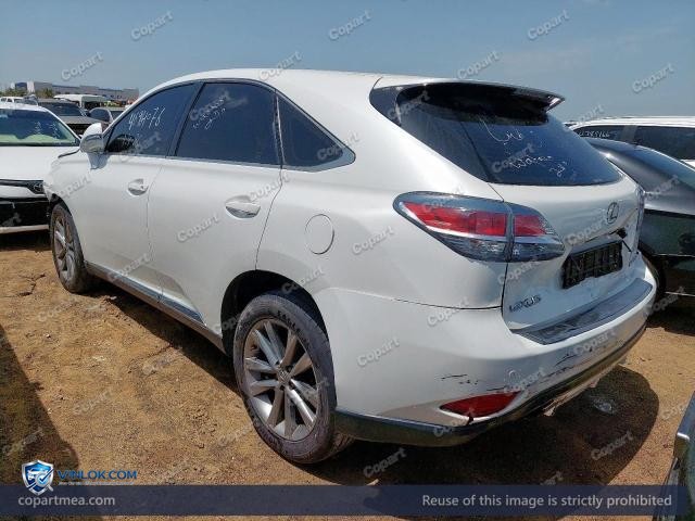 Auction photo