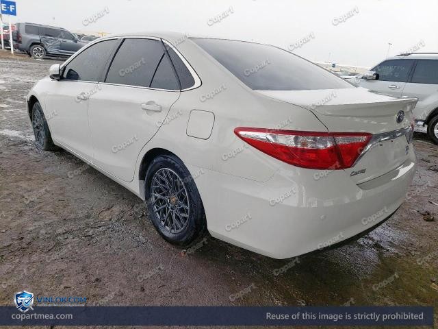 Auction photo