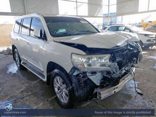 Auction photo
