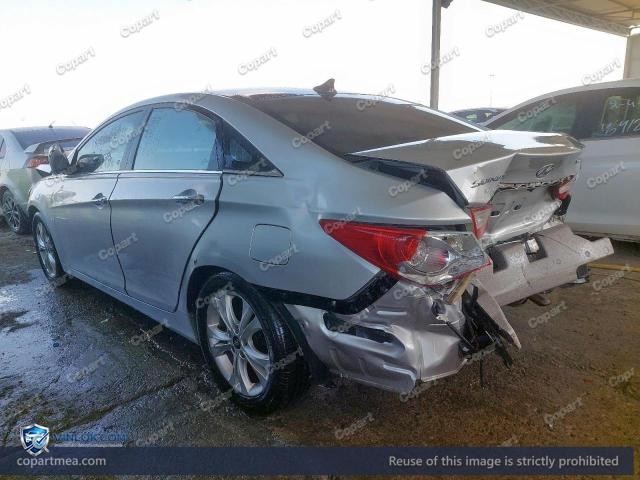 Auction photo