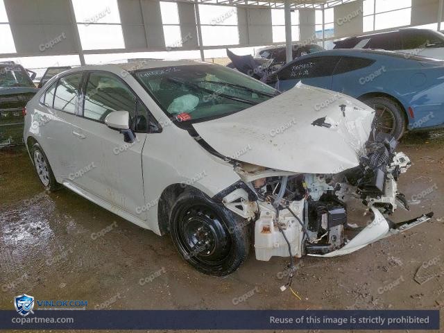 Auction photo