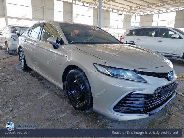 Auction photo
