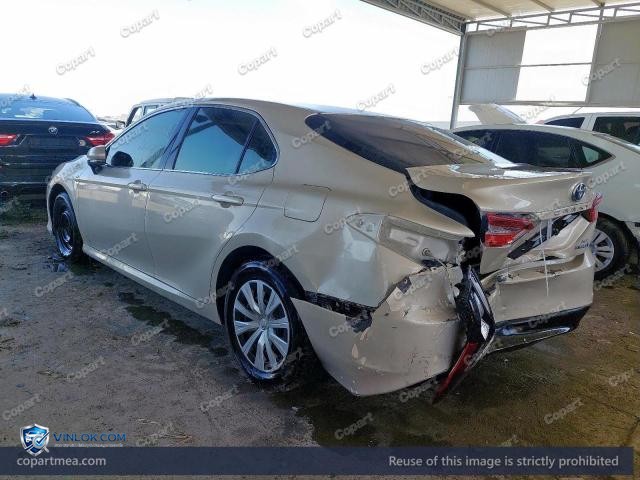 Auction photo