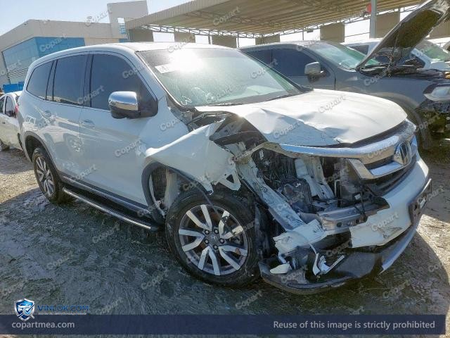 Auction photo