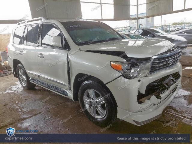 Auction photo