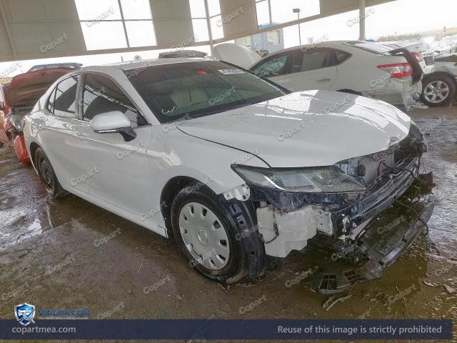 Auction photo
