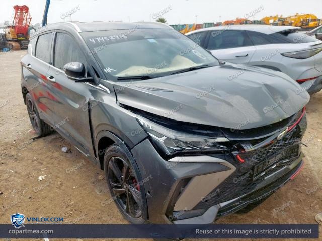 2025 GEELY COOLRAY — Lot 47482916 auction photo