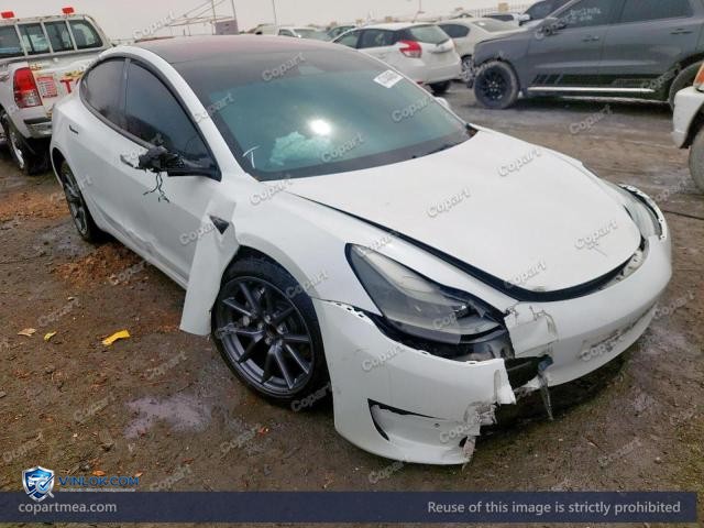 Auction photo