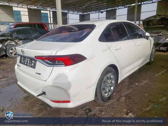 Auction photo