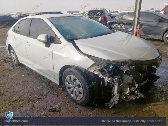 Auction photo