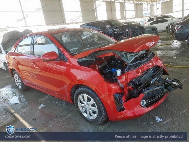 Auction photo