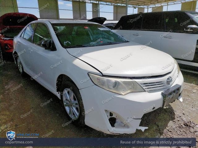 Auction photo