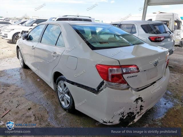 Auction photo