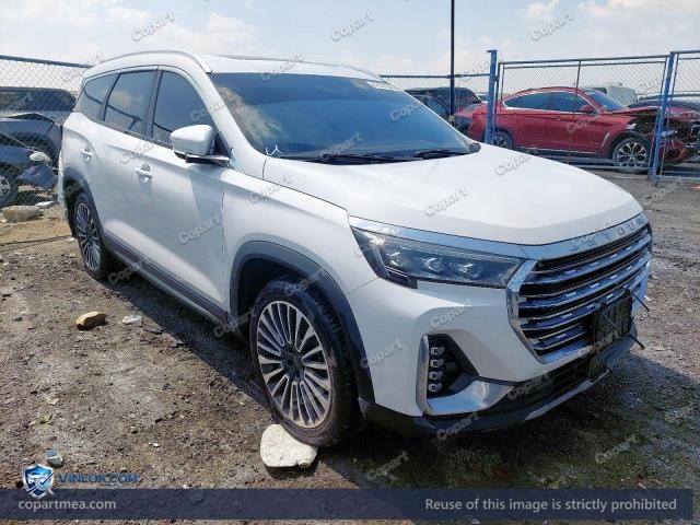 2024 JETO X90 — Lot 47551546 auction photo