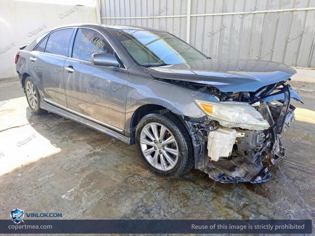 Auction photo
