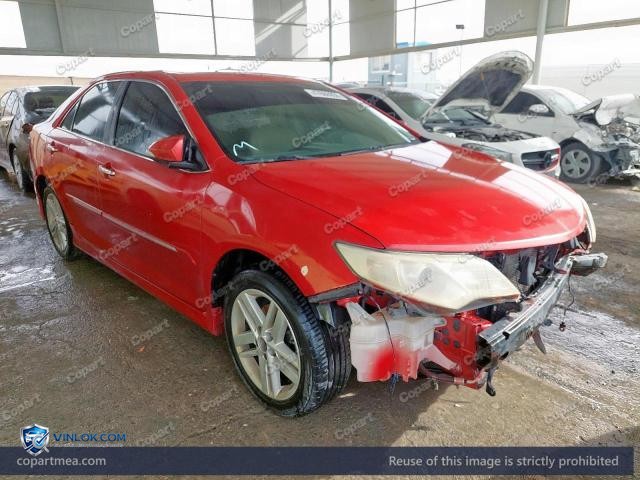 Auction photo