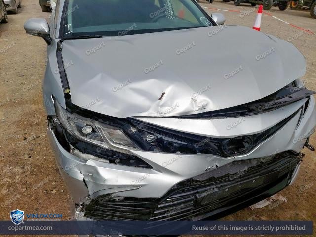 Auction photo