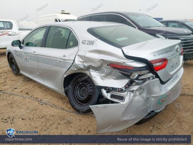 Auction photo