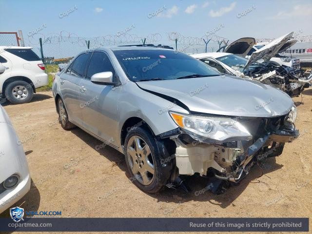 Auction photo