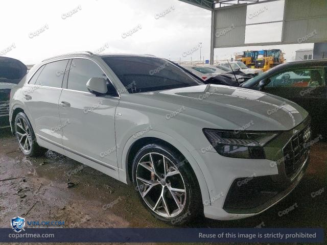 Auction photo