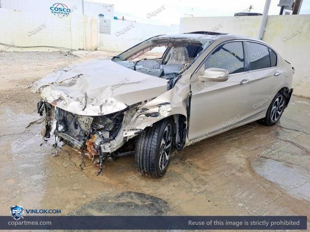 Auction photo