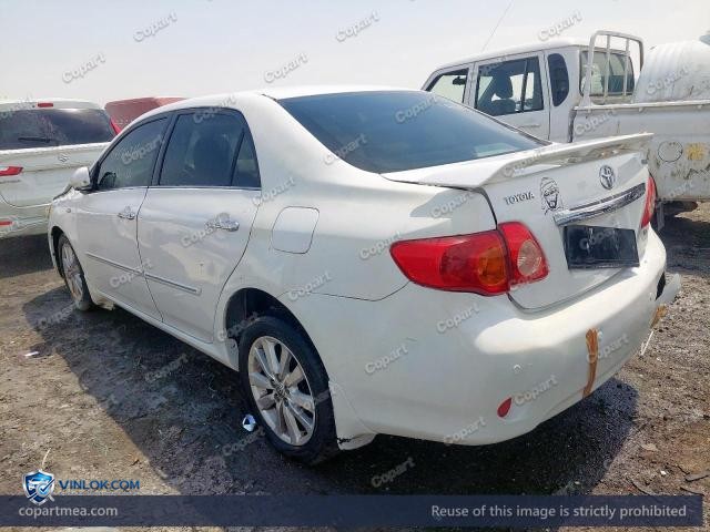 Auction photo