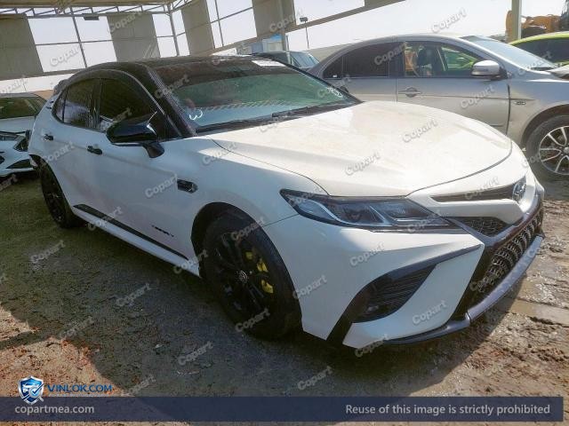 Auction photo