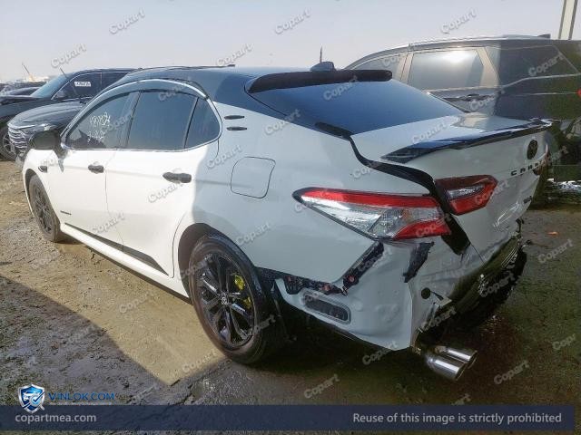 Auction photo
