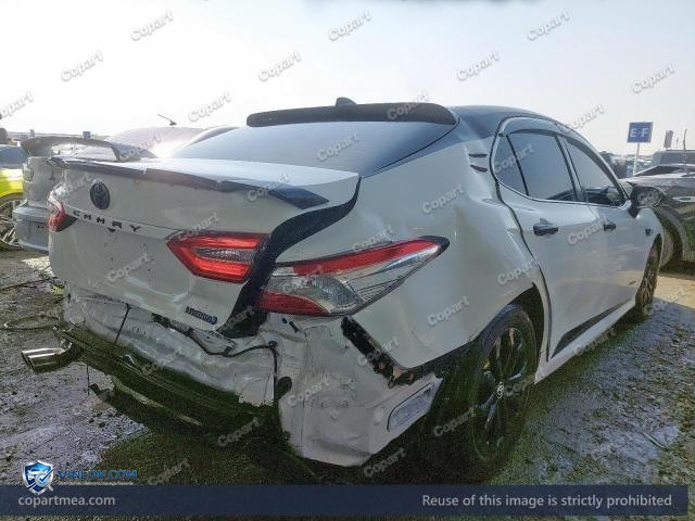 Auction photo