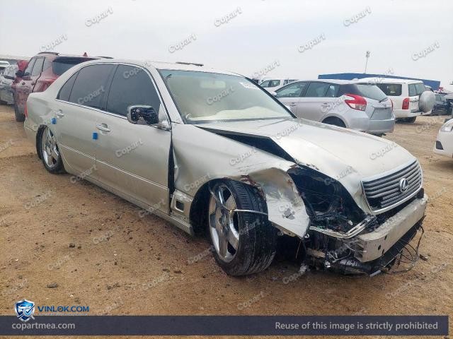 Auction photo