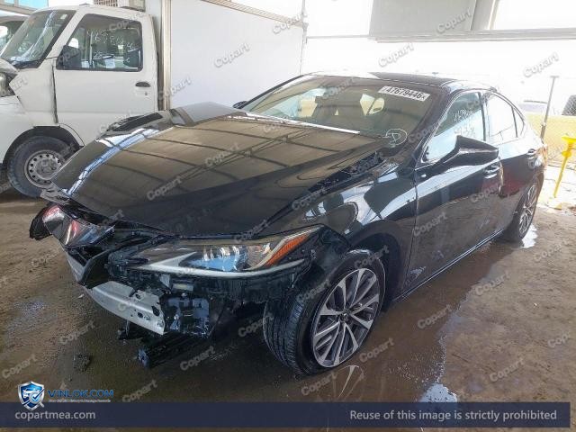 Auction photo