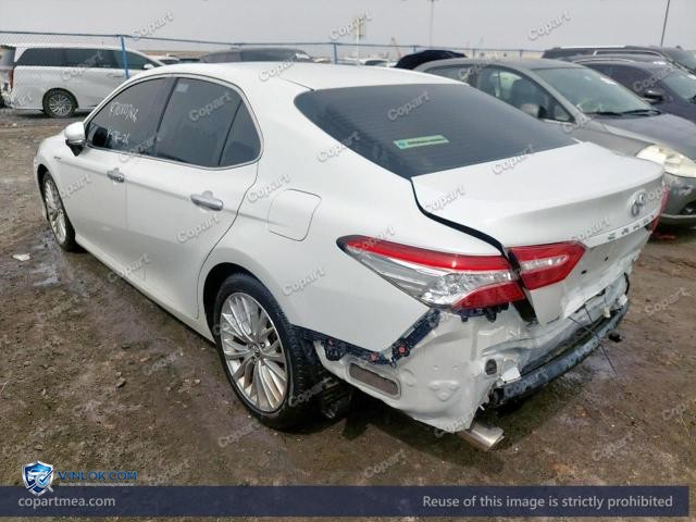 Auction photo