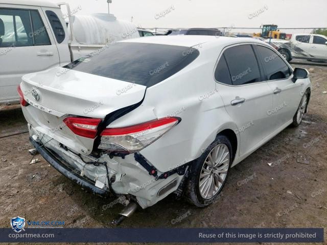 Auction photo