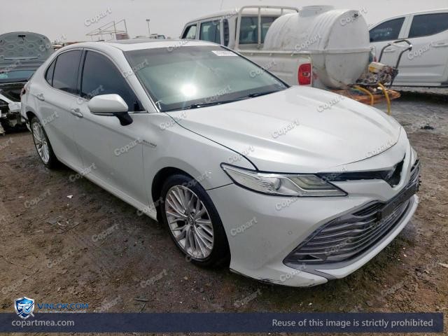 Auction photo