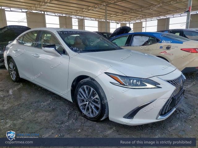 Auction photo