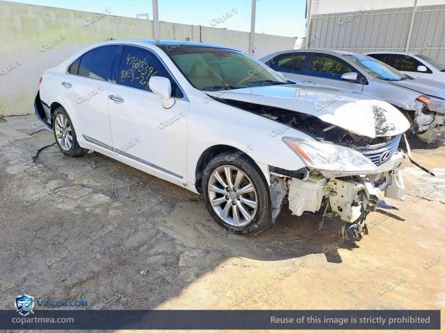 Auction photo