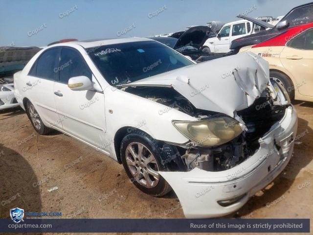 Auction photo