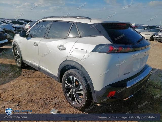 Auction photo