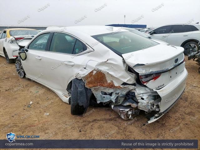 Auction photo