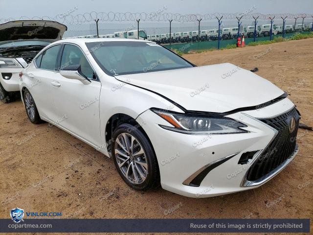 Auction photo