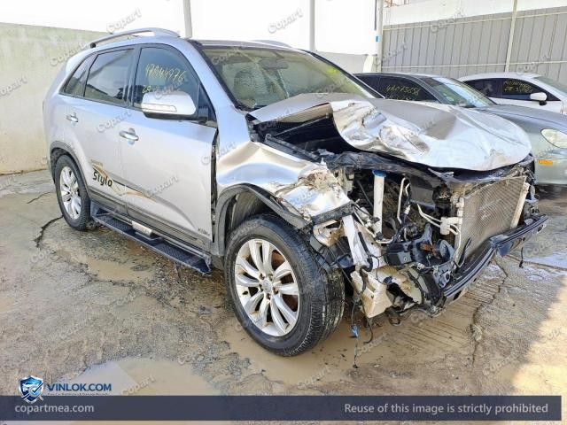Auction photo