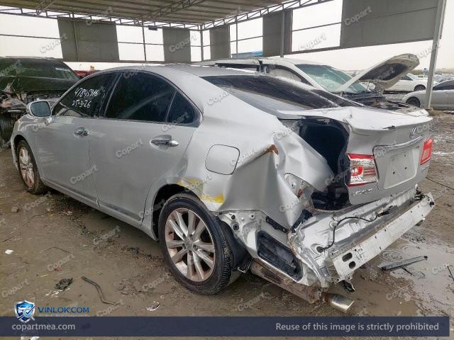 Auction photo