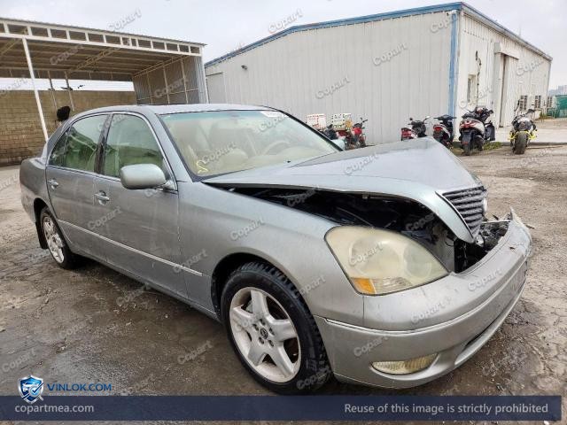 Auction photo