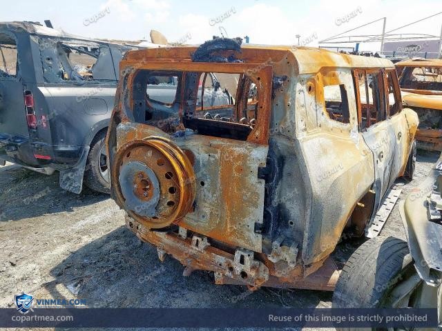 Auction photo