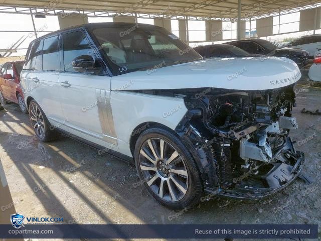 Auction photo